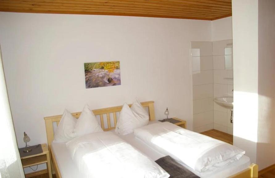 Haus Brigitte Rettensteiner Schladming Kültér fotó